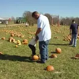 Honeysuckle Hill Farm Fall Festival & Corn Maze photo