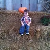 Honeysuckle Hill Farm Fall Festival & Corn Maze photo
