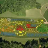 Honeysuckle Hill Farm Fall Festival & Corn Maze photo