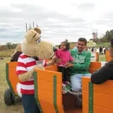 Honeysuckle Hill Farm Fall Festival & Corn Maze photo