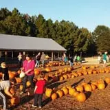 Honeysuckle Hill Farm Fall Festival & Corn Maze photo