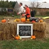 Honeysuckle Hill Farm Fall Festival & Corn Maze photo