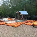 Haunted Corn Maze at Copper Creek