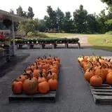 Clearview Farm photo