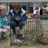 Clearview Farm photo