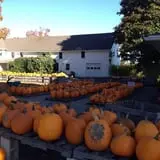 Clearview Farm photo