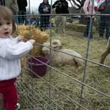 Clearview Farm photo