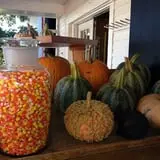 Clearview Farm photo