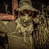 Haunted Hunt Club Farm