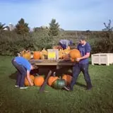 Pleasant Valley Orchard photo