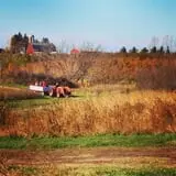Pleasant Valley Orchard photo