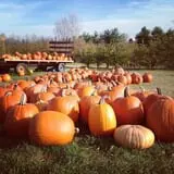 Pleasant Valley Orchard photo