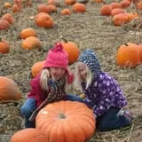Pleasant Valley Orchard photo