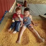 Pleasant Valley Orchard photo