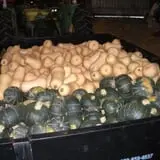 Pleasant Valley Orchard photo