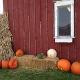 Pleasant Valley Orchard photo