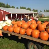 Pleasant Valley Orchard photo