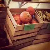 Pleasant Valley Orchard photo