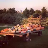 Pleasant Valley Orchard photo