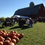 Pleasant Valley Orchard photo