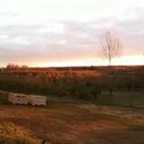 Pleasant Valley Orchard photo