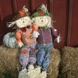 Pleasant Valley Orchard photo