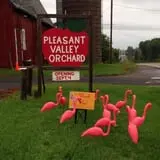 Pleasant Valley Orchard photo