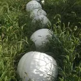 Pleasant Valley Orchard photo
