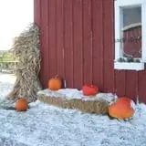 Pleasant Valley Orchard photo
