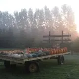 Pleasant Valley Orchard photo
