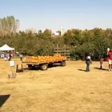 Pleasant Valley Orchard photo