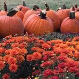 Detwiler Farm photo