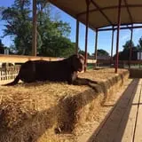 Detwiler Farm photo