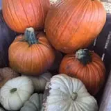 Detwiler Farm photo