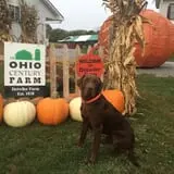 Detwiler Farm photo