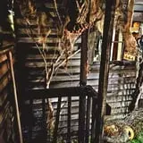 Maineiac Manor photo