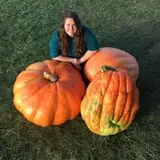 Kristin's Pumpkin Patch photo