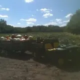 Kristin's Pumpkin Patch photo