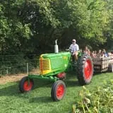 Kristin's Pumpkin Patch photo