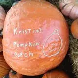 Kristin's Pumpkin Patch photo