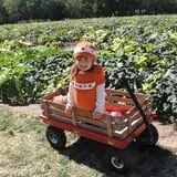 Kristin's Pumpkin Patch photo