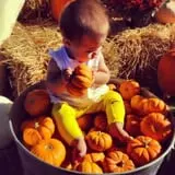 Kristin's Pumpkin Patch photo