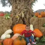 Kristin's Pumpkin Patch photo