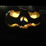 Kristin's Pumpkin Patch photo