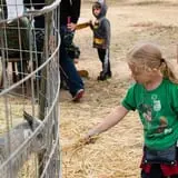 Halloween Land Corn Maze at Twin Oaks Farms photo