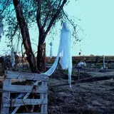 Halloween Land Corn Maze at Twin Oaks Farms photo
