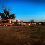 Halloween Land Corn Maze at Twin Oaks Farms photo