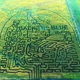Halloween Land Corn Maze at Twin Oaks Farms photo