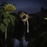 Halloween Land Corn Maze at Twin Oaks Farms photo