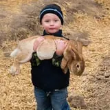 Halloween Land Corn Maze at Twin Oaks Farms photo
